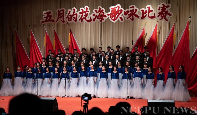 00ef99b44c554ed0bd0c63ff97835cc8.jpg 00ef99b44c554ed0bd0c63ff97835cc8.jpg